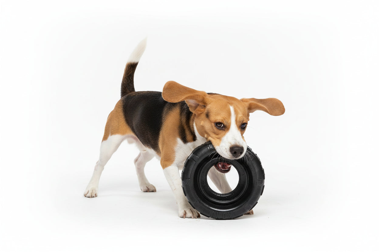 Kong Extreme Traxx Mordedor Rueda Para Perros - M