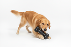 Kong Juguete Hueso Extreme Goodie Bone Para Perros - M