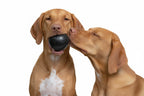 Kong Extreme Ball Pelota Para Perros - S