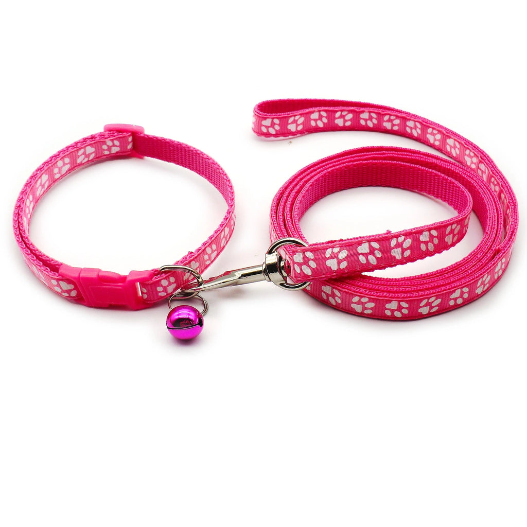 Juego de correa y collar para mascotas pequeñas