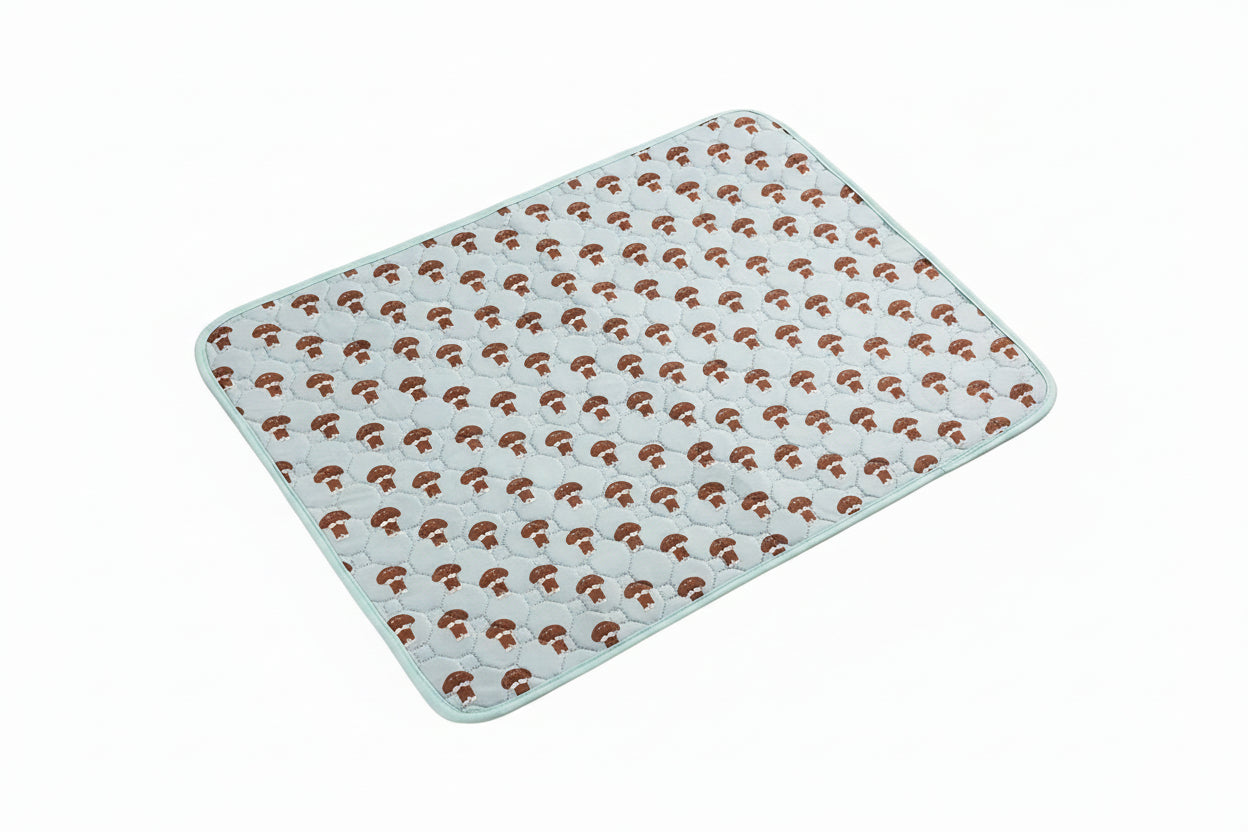 Estera absorbente e Impermeable para Invierno