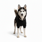 Sudadera con Capucha para Mascotas ALL'S THE FOOD