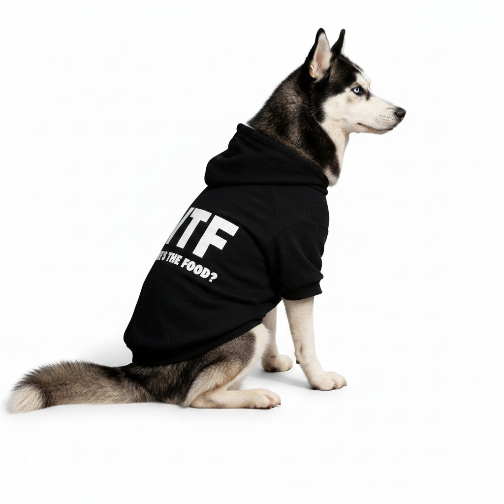 Sudadera con Capucha para Mascotas ALL'S THE FOOD