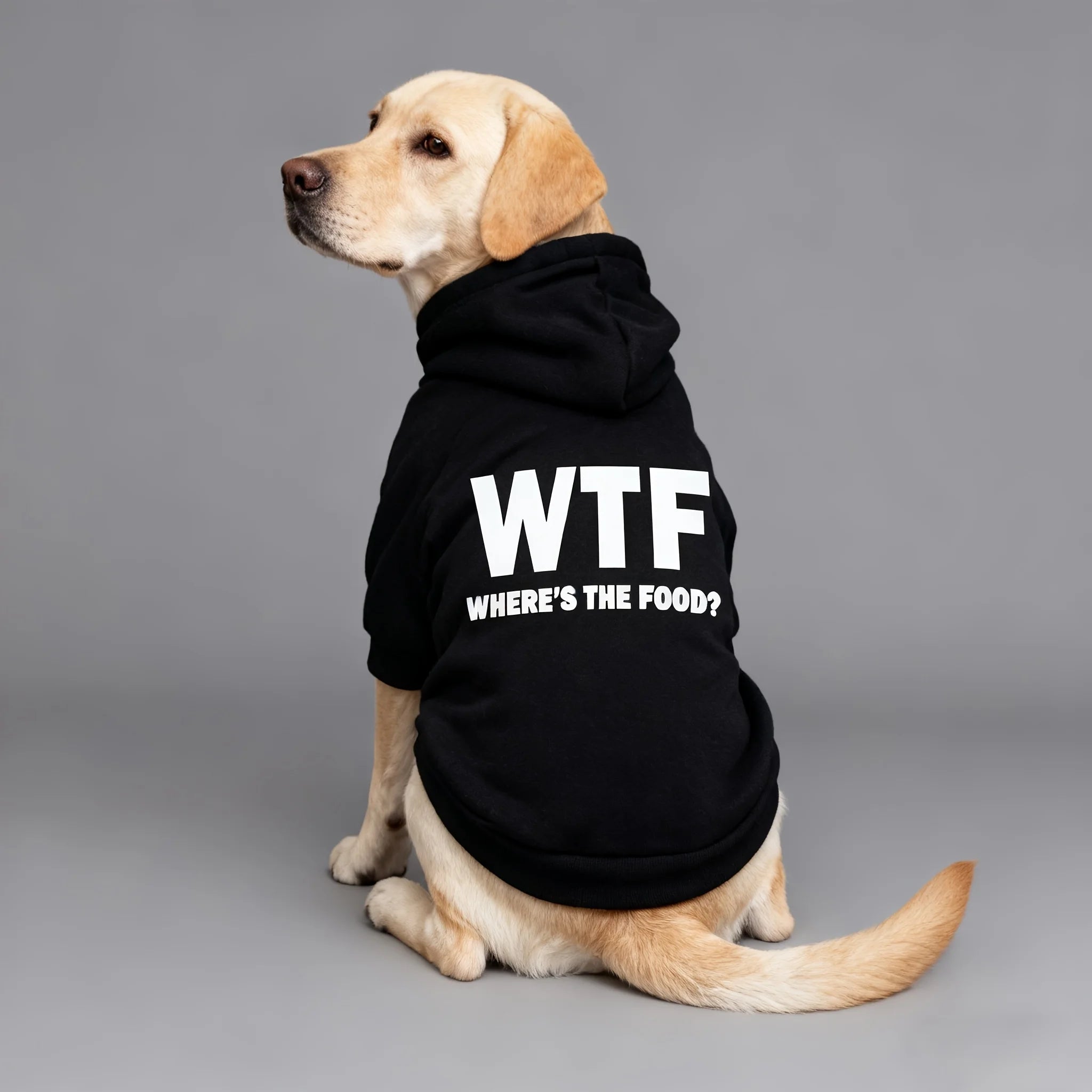 Sudadera con Capucha para Mascotas ALL'S THE FOOD