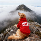 Sudadera con Capucha para Mascotas ALL'S THE FOOD