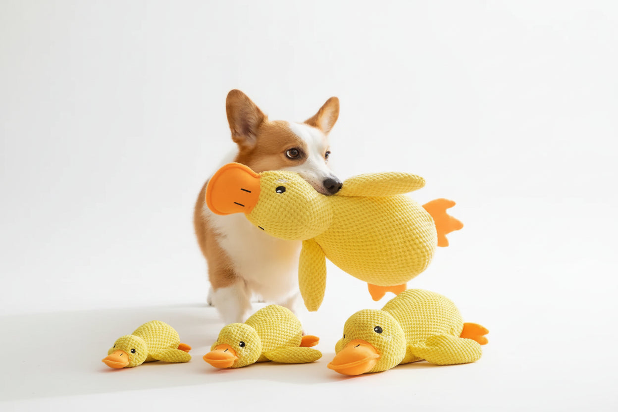 Pato de Peluche Interactivo para mascotas