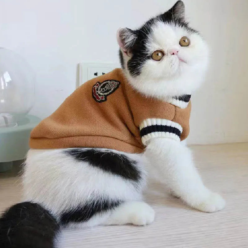 Suéter y Chaleco de Invierno para Mascotas Pequeñas