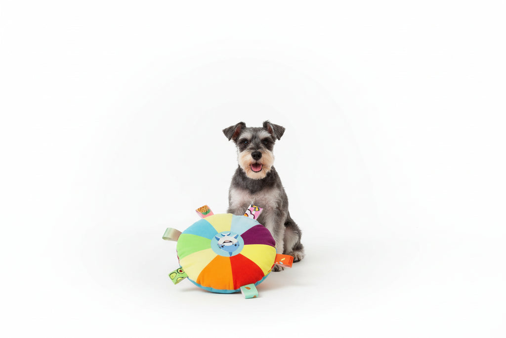 Disco de peluche dental con sonido y cachorros