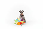Disco de peluche dental con sonido y cachorros