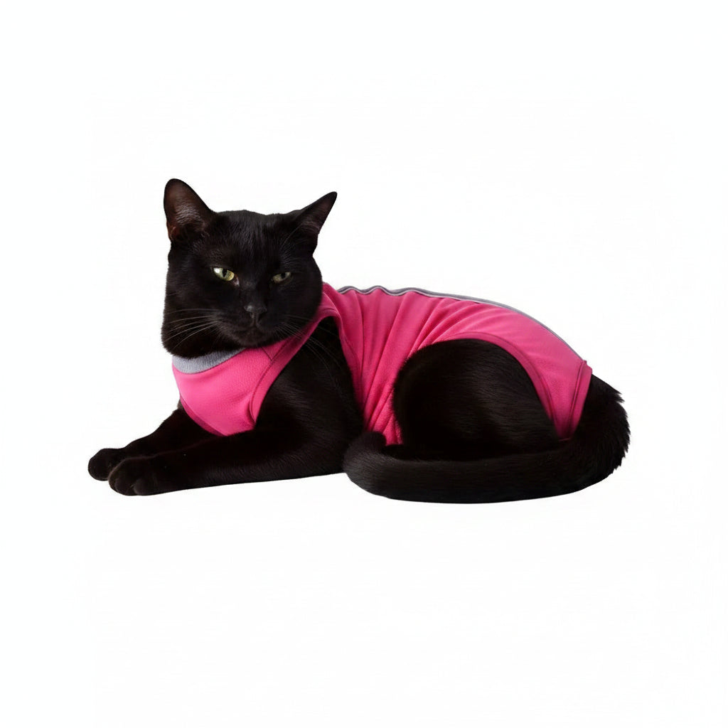 Traje de Recuperación y Esterilización Cómodo para Gatos