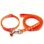 Juego de correa y collar para mascotas pequeñas