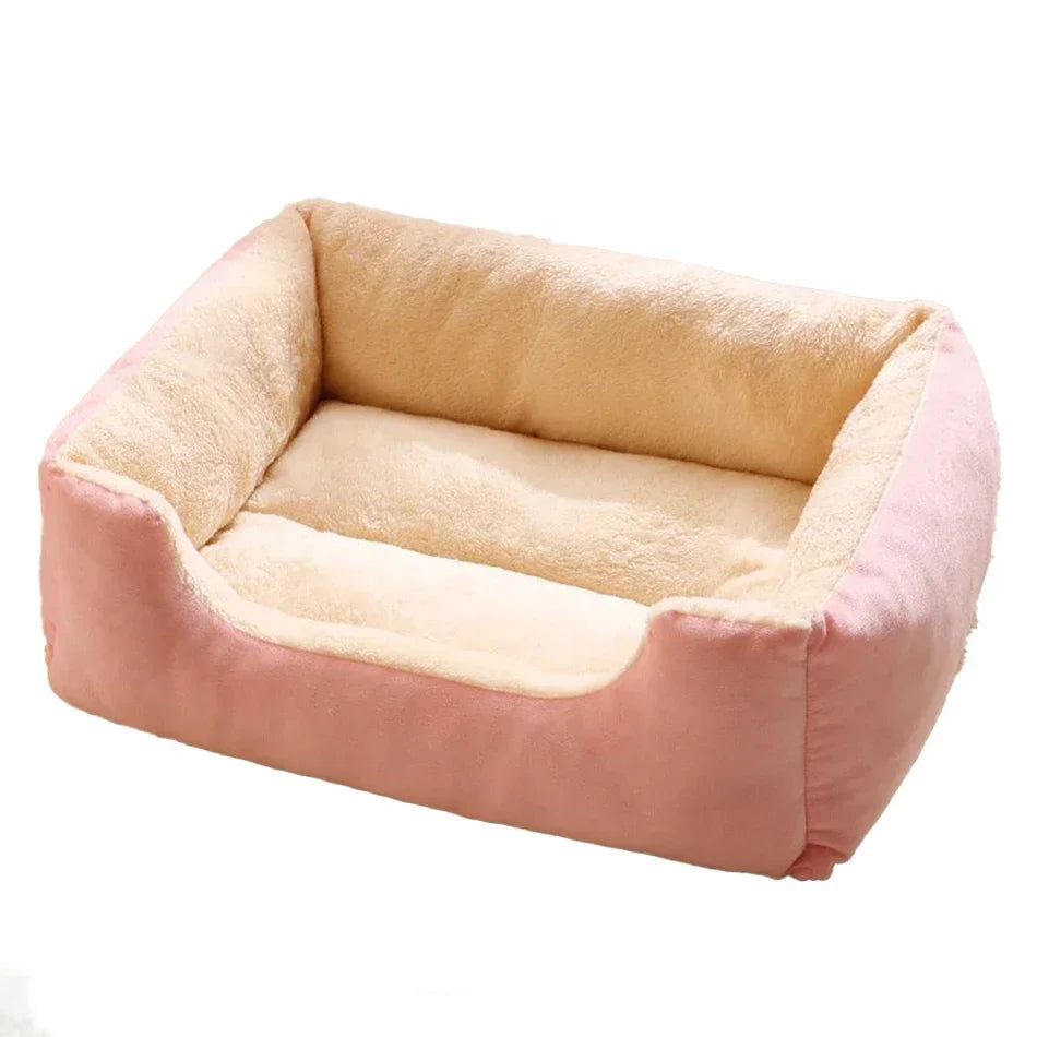 Pack Felino Primerizos (Cama + Arnés + Comedero + Juguete + Peine)
