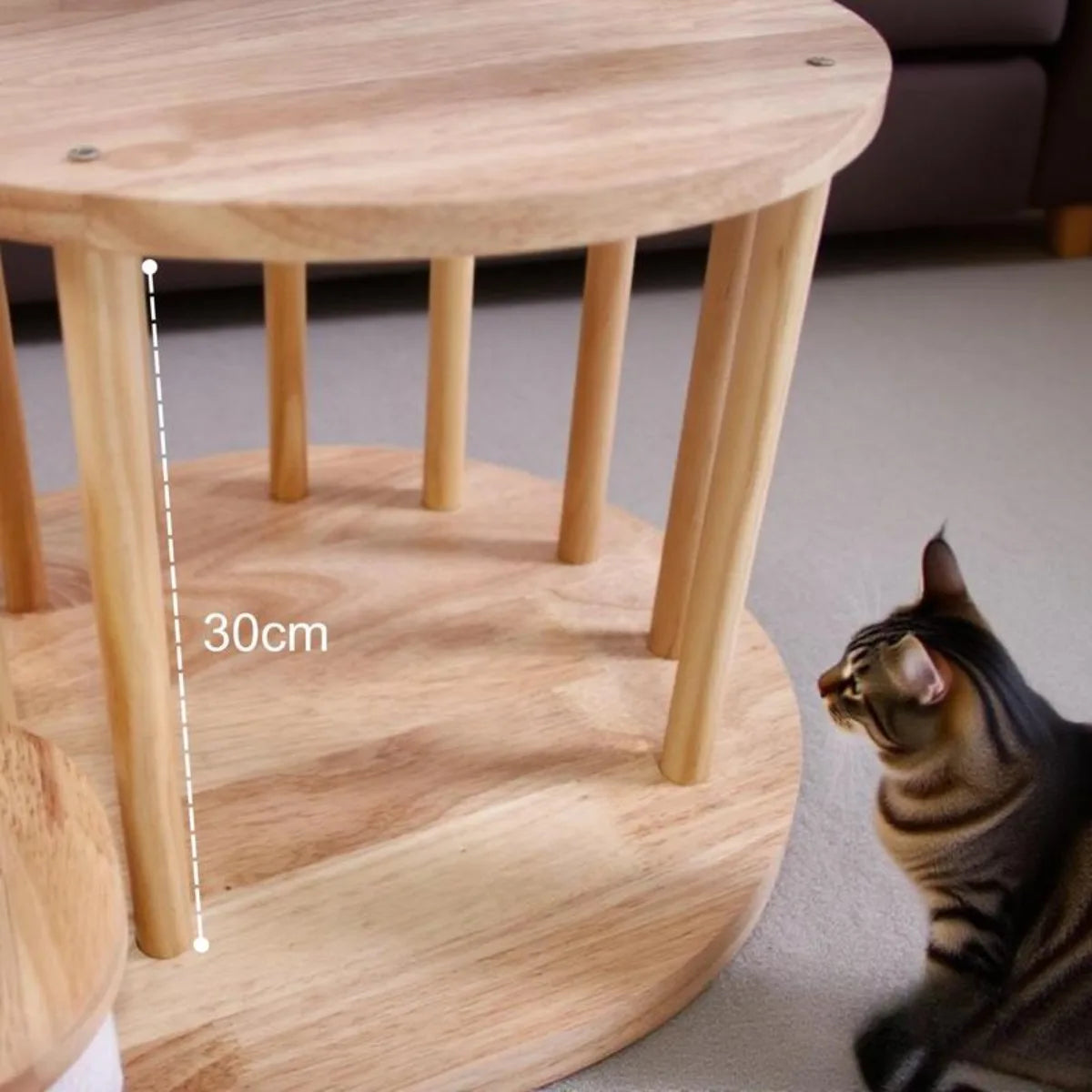 MimoPaws Árbol para Gatos de Madera premium Maciza Natural con Hamaca de Acrílico
