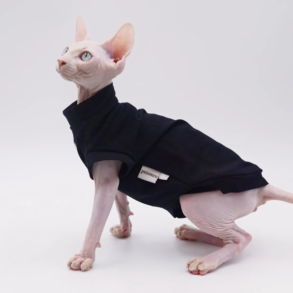 DUOMASUMI Chaleco de Verano para Gatos de Raza Sin Pelo