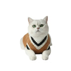 Suéter y Chaleco de Invierno para Mascotas Pequeñas