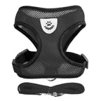 Pack Canino Primerizo (Cama + Arnés + Comedero + Juguete + Peine)