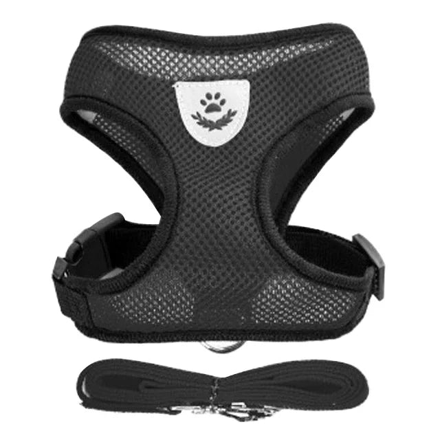 Pack Canino Primerizo (Cama + Arnés + Comedero + Juguete + Peine)