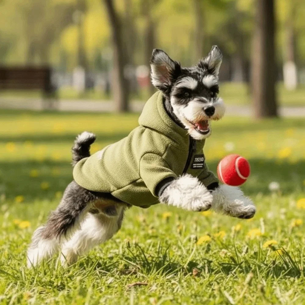 Sudadera con Capucha Gruesa verde