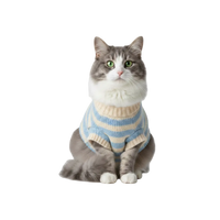 Gatos adultos