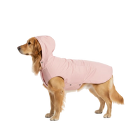 Perros adultos